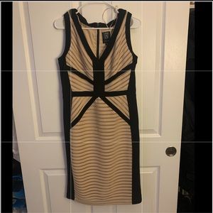 JAX Bodycon Champagne and Black Dress